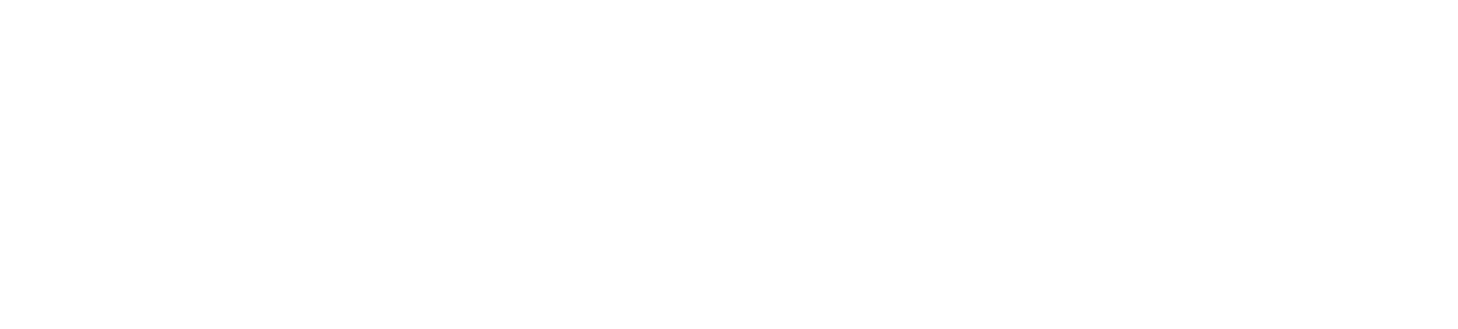 aldea logo footer